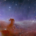 The Horsehead nebula as seen by ESA's Euclid spacecraft. Credit: ESA.